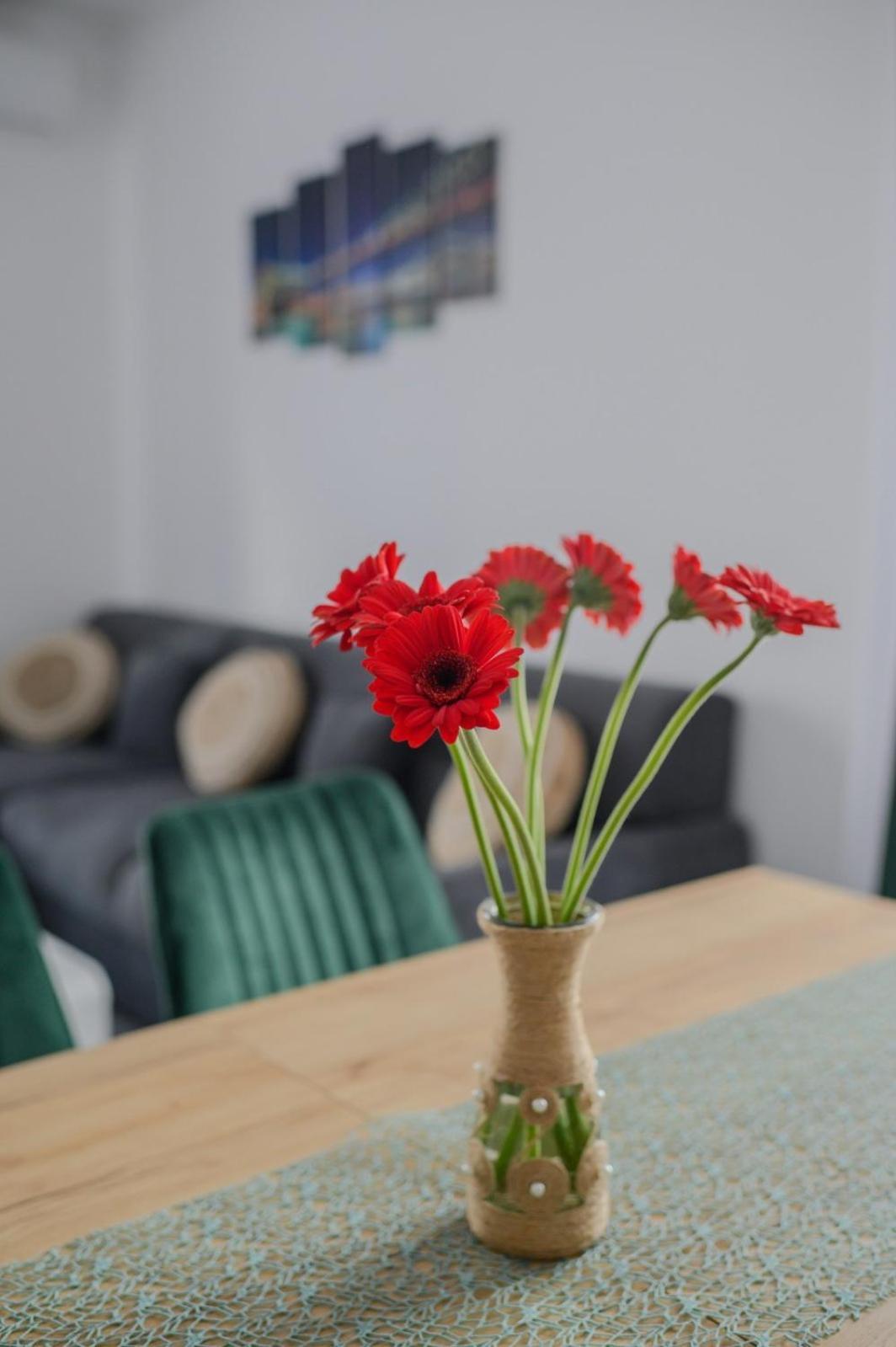 Apartament Radiana Baile Felix Luaran gambar